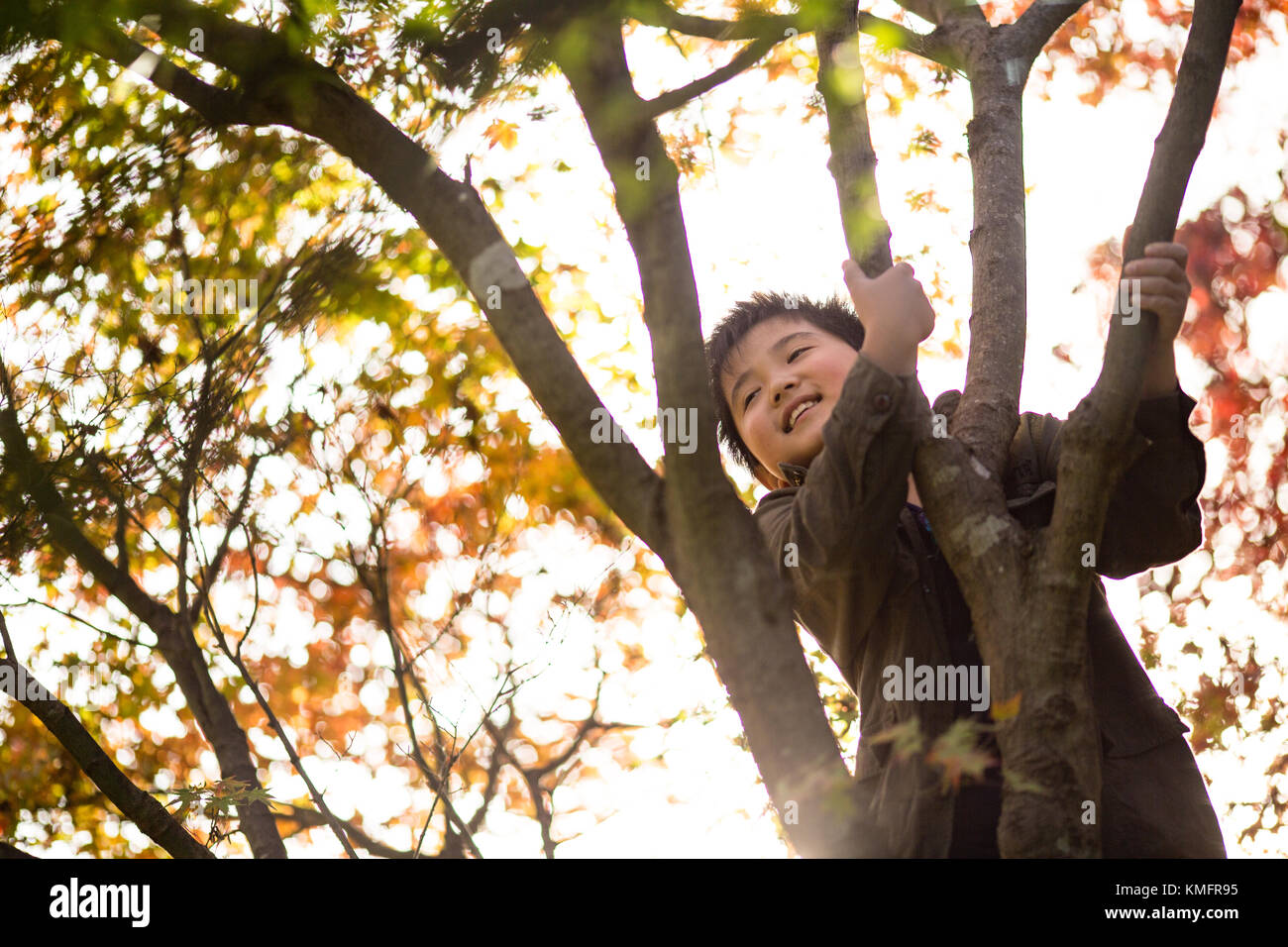 Giapponese fogliame di autunno e bambini Foto Stock