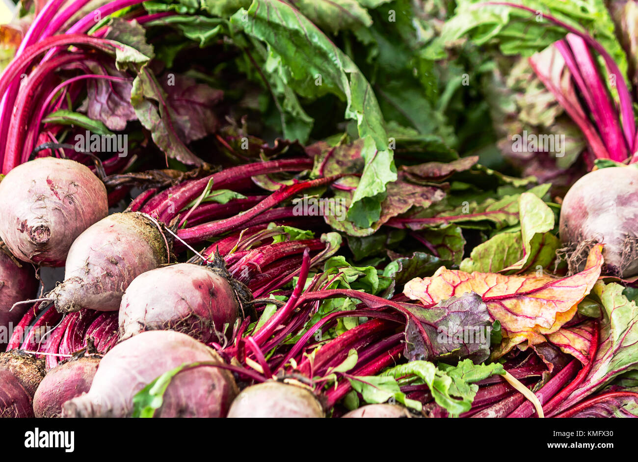 Display di verdure fresche di barbabietole con foglie Foto Stock