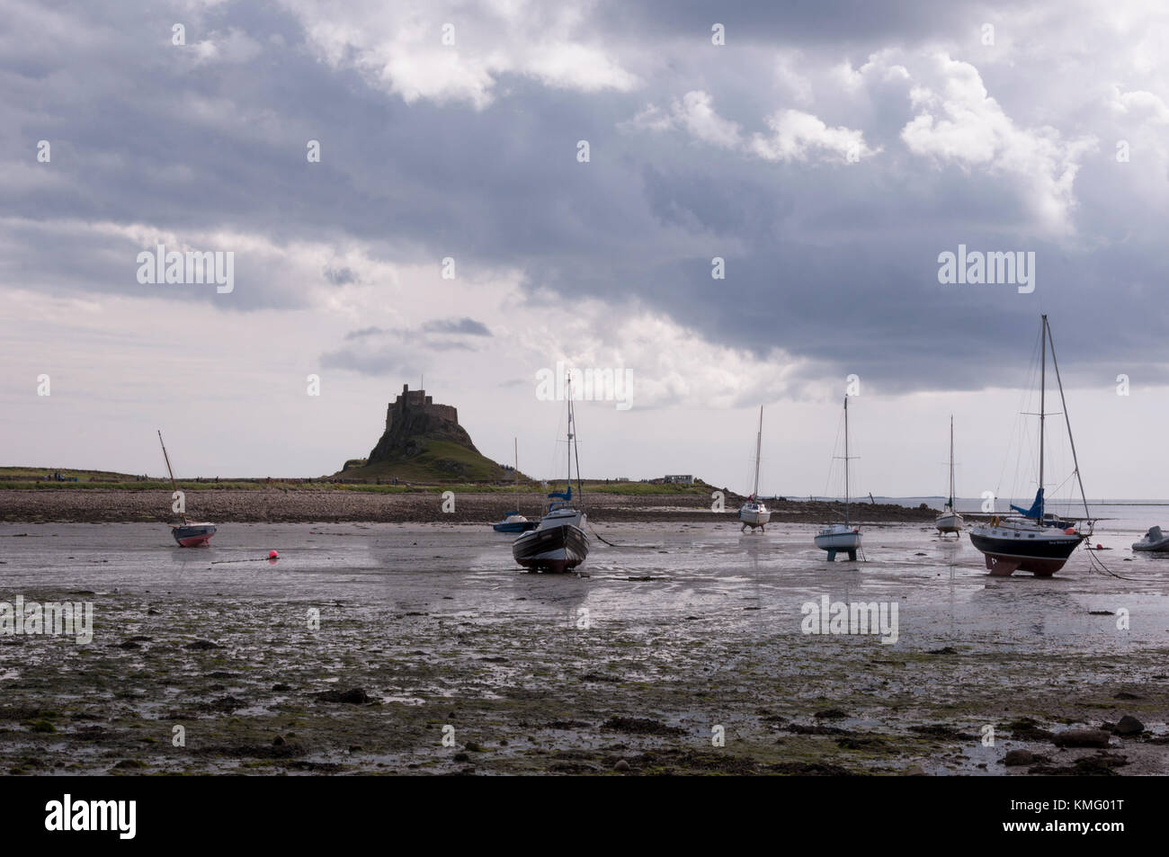 Cercando di Lindisfarne Priory, A Isola Santa in Northumberland sulla costa nord est dell'Inghilterra, quando la marea si è ritirato. Foto Stock