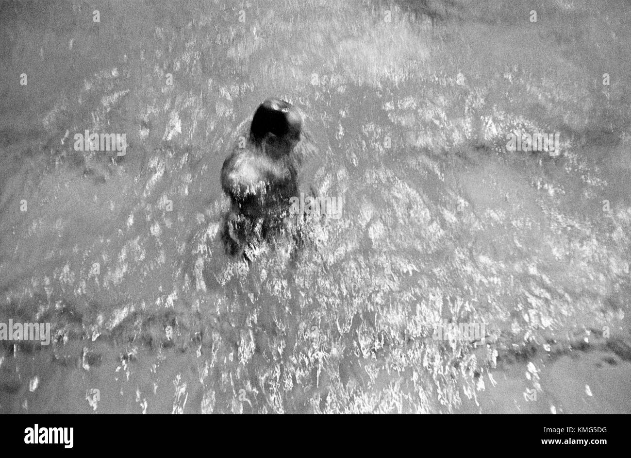 Piscina coperta: Uomo che sale dal fondo della piscina nel 1960s UK HOMER SYKES Foto Stock