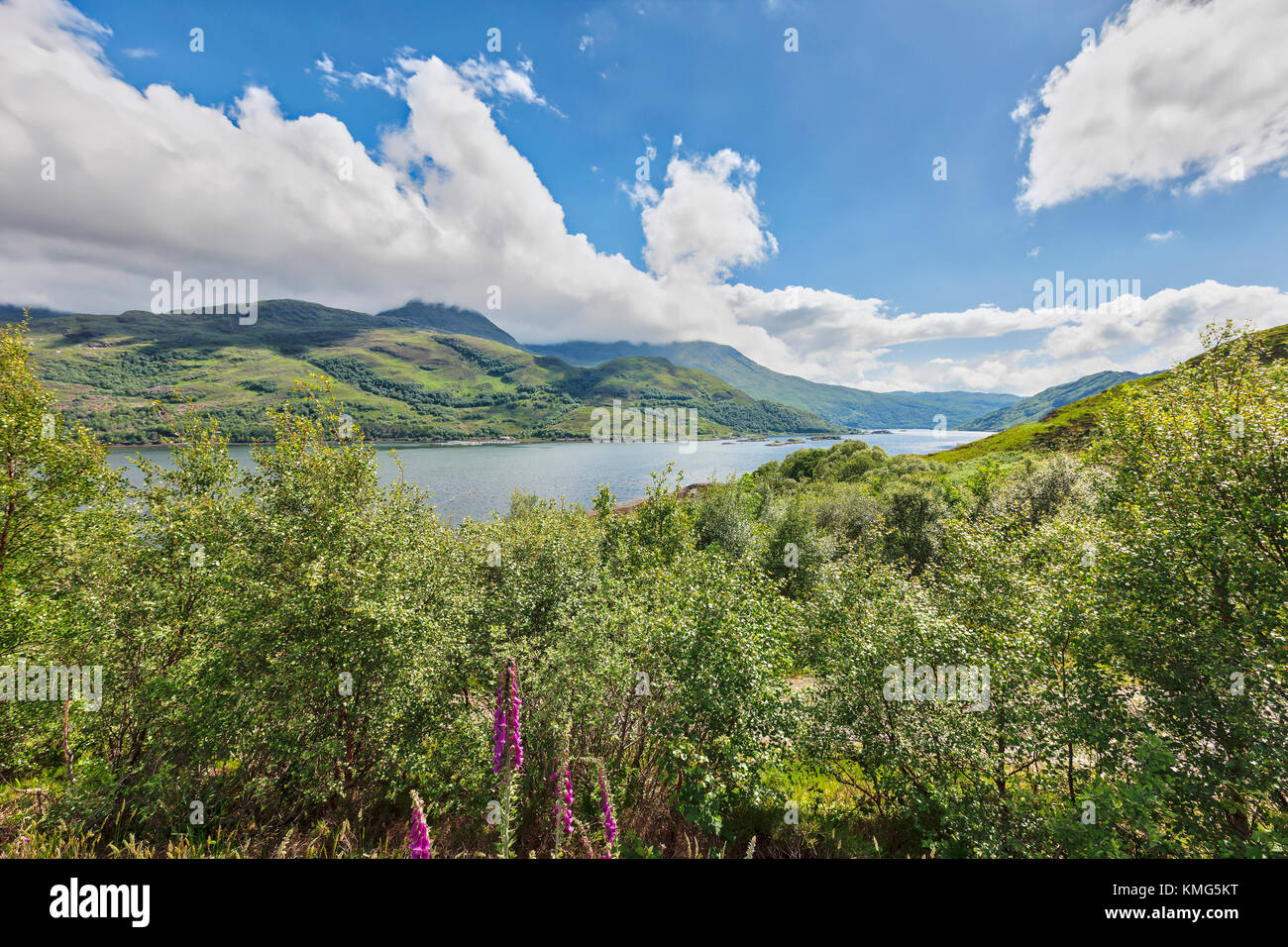 Vista panoramica del lago tra piante verdi e montagne, Lochailort, Scozia Foto Stock