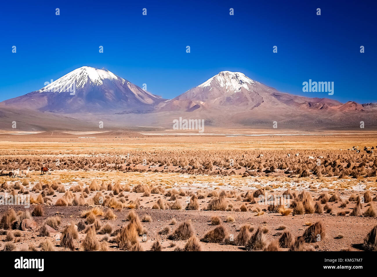 Enorme vulcano Nevado Sajama e Parinacota vulcani situati nei parchi nazionali in Cile e Bolivia Foto Stock