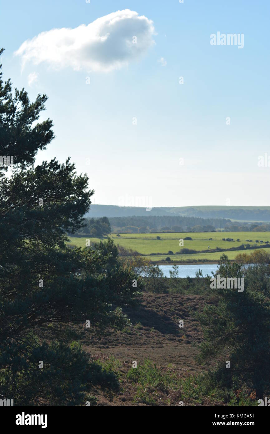 Campagna e sagomato a sfera cloud con coda Foto Stock