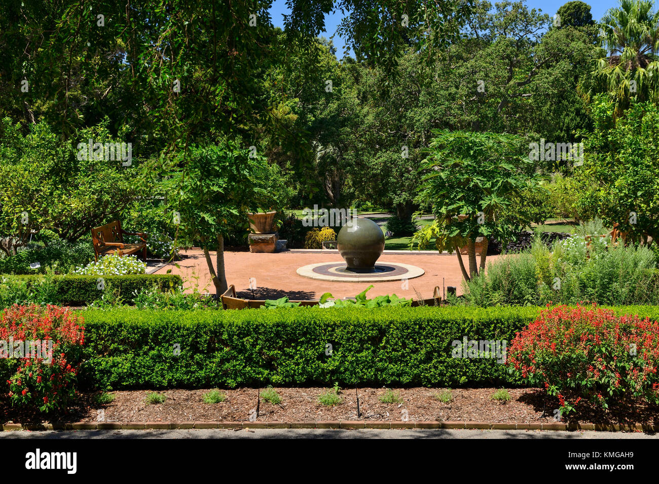 Giardino di Rose in Royal Botanic Garden di Sydney, Nuovo Galles del Sud, Australia Foto Stock