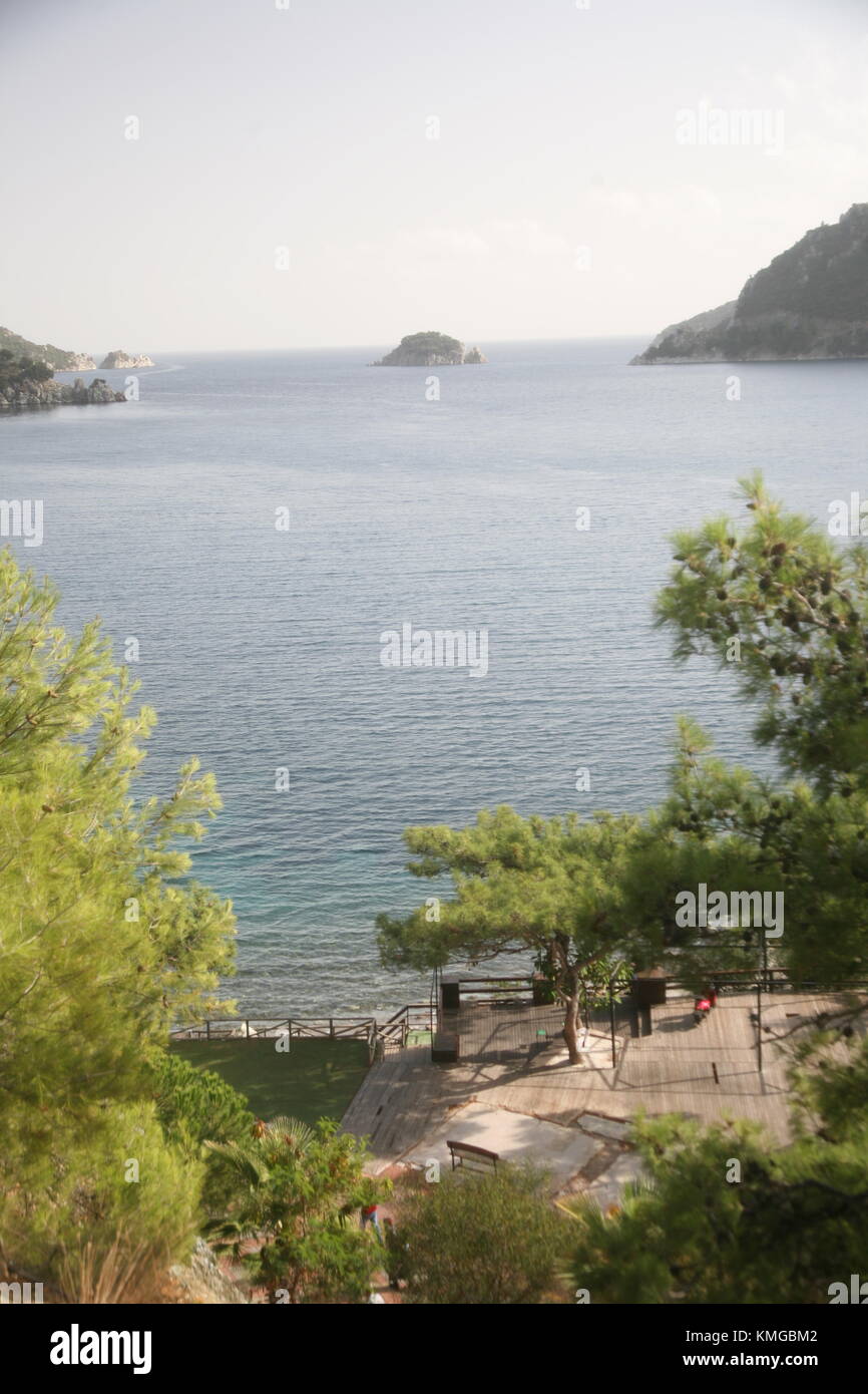 Turchia, Riviera Turca, Marmaris, Armutalen montagna, Honey Dew pini da cui il miele è prodotta localmente. Foto Stock