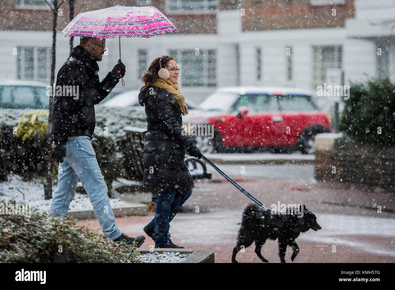 Clapham Common, Londra. Decimo Dec, 2017. I cani devono ancora essere camminato come la neve comincia a scendere di nuovo. In precedenza luce neve cadde su Clapham Common e poi si alterna con nevischio. Londra 10 Dic 2017. Credito: Guy Bell/Alamy Live News Foto Stock