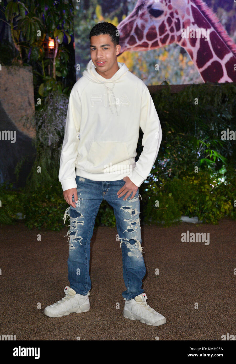 LOS ANGELES, CA. Dicembre 11, 2017: Marcus Scribner presso il Los Angeles premiere di 'Jumanji: Welcome to the Jungle" presso la leva TCL Chinese Theatre, Hollywood Immagine: Sarah Stewart Foto Stock