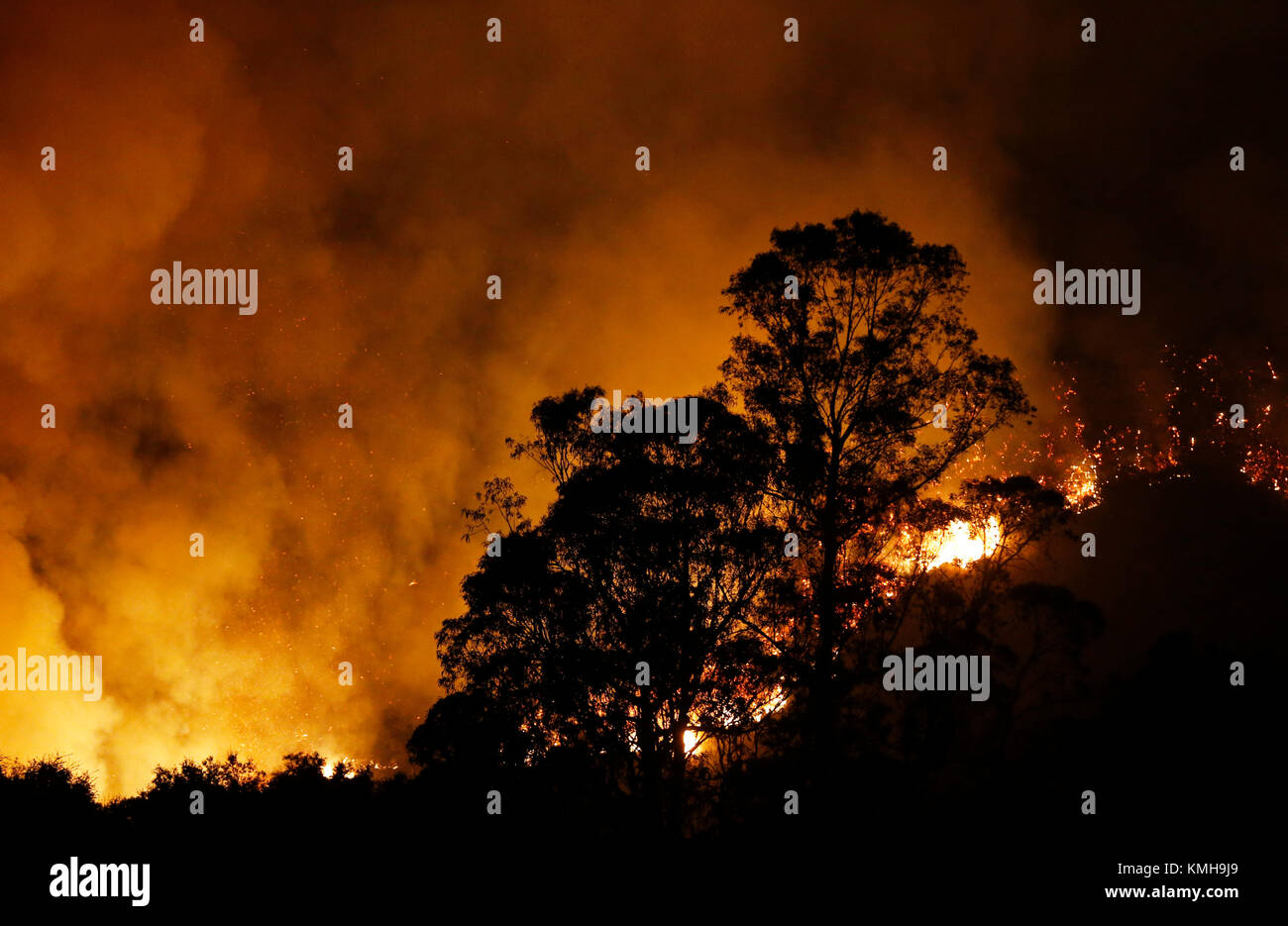 Carpinteria, STATI UNITI D'AMERICA. Undicesimo Dec, 2017. Foto scattata a Dic. 11, 2017 mostra il fuoco in Carpinteria, California, Stati Uniti. La settimana di battaglia contro incendi in California focalizzata sul canyon sopra Carpinteria di Santa Barbara county lunedì sera, funzionari locali hanno detto. Credito: Li Ying)(zjl/Xinhua/Alamy Live News Foto Stock