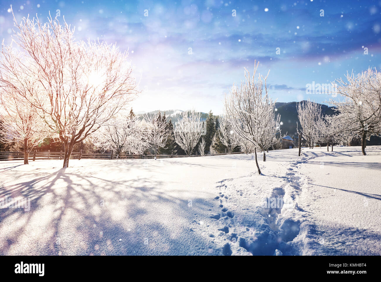 Paesaggio di inverno alberi e recinzioni in brina, sfondo con alcuni punti salienti morbido e fiocchi di neve. Felice anno nuovo. Foto Stock