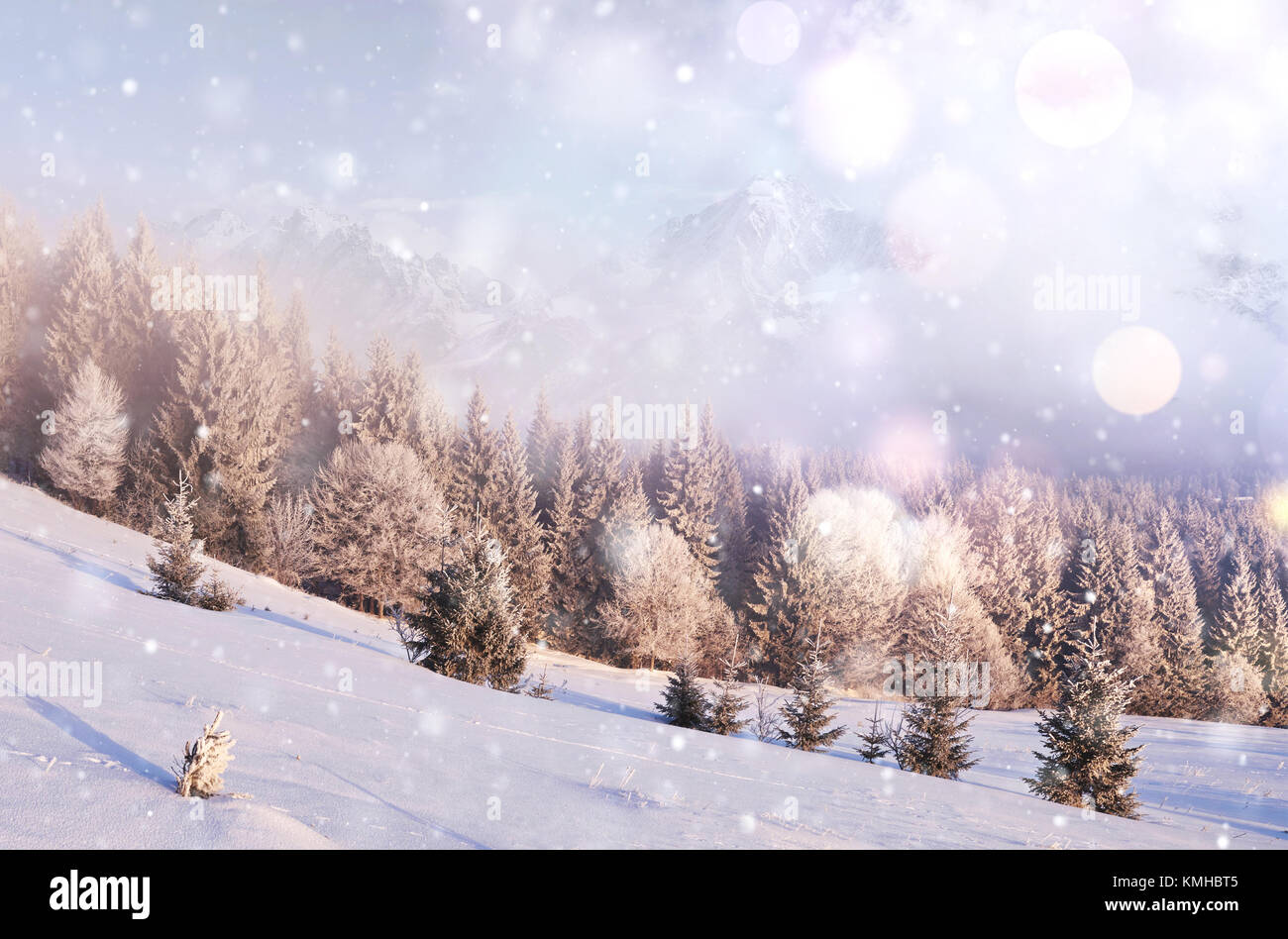 Paesaggio di inverno alberi e recinzioni in brina, sfondo con alcuni punti salienti morbido e fiocchi di neve. Felice anno nuovo. Foto Stock