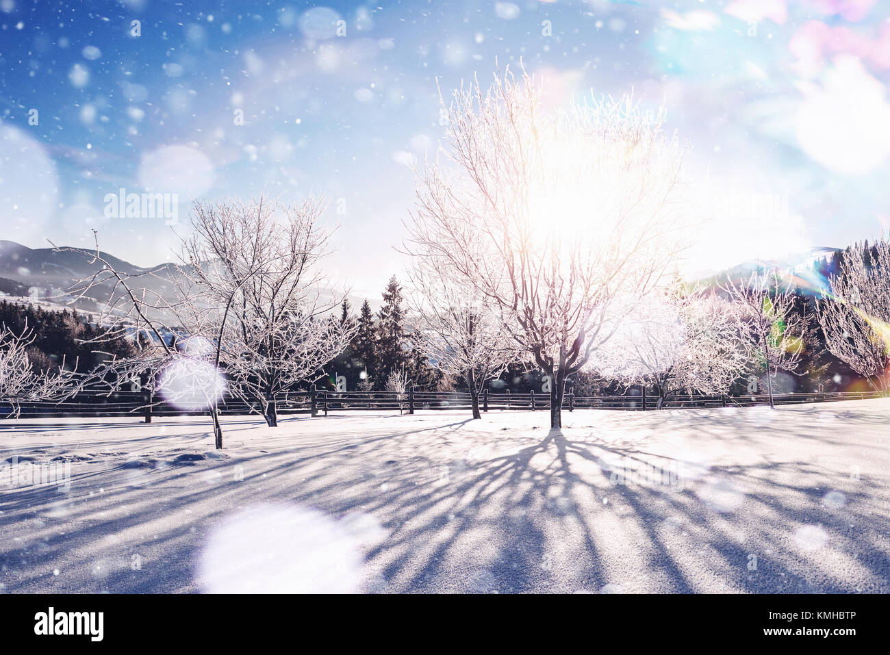 Paesaggio di inverno alberi e recinzioni in brina, sfondo con alcuni punti salienti morbido e fiocchi di neve. Felice anno nuovo. Foto Stock