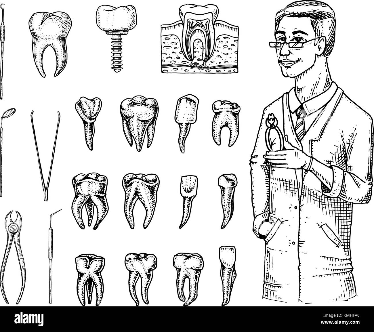 I denti molari di smalto dentale, impostare. strumenti attrezzatura del dentista medico. la cavità orale pulire o malati. salute o carie umano. incisi disegnati a mano nel vecchio o schizzo. medicina, cura per cavità, impianto Illustrazione Vettoriale
