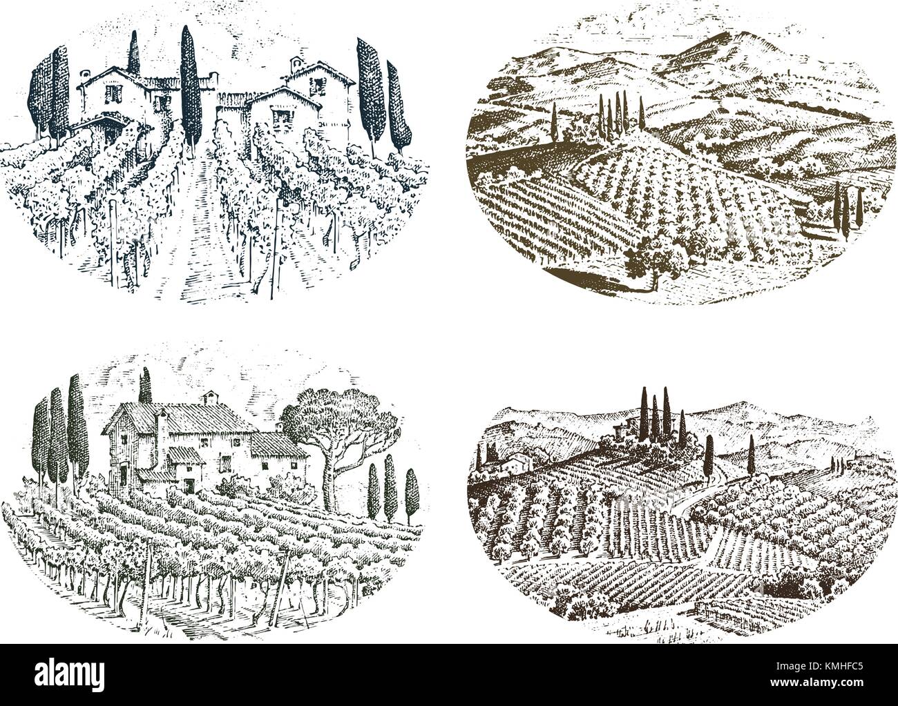 Vigneto rustico. paesaggio rurale con case. solar toscana sfondo. campi e cipressi. raccolta e haystacks. incisi disegnati a mano nel vecchio disegno e stile vintage per etichetta. Illustrazione Vettoriale