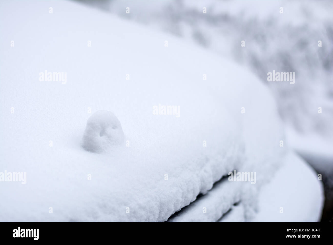 Nevicata in città, neve auto coperto Foto Stock