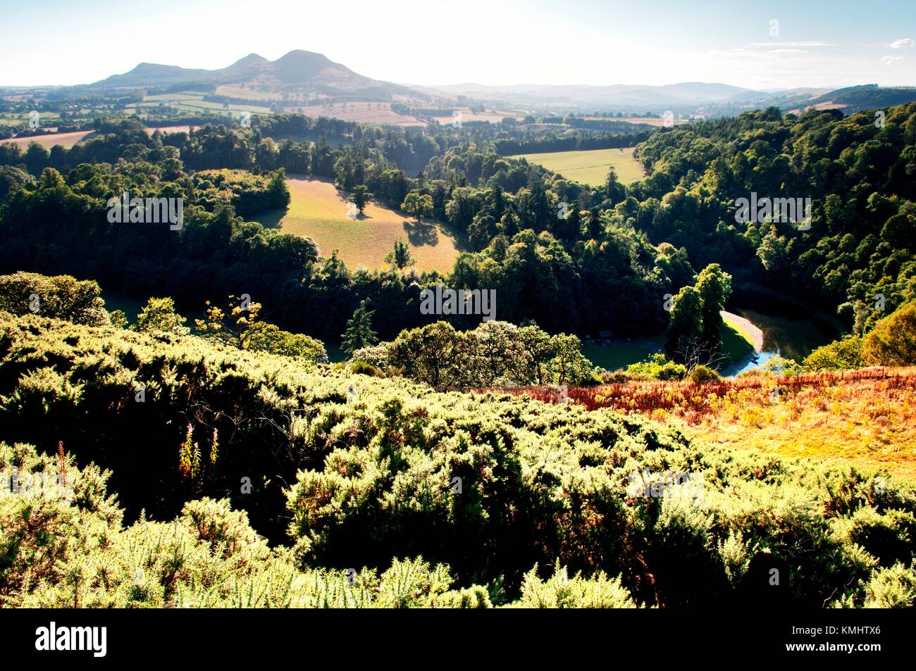Vista sul fiume Tweed verso le tre cime delle colline Eildon nella regione di frontiere, Scozia. Noto come Scott's View Foto Stock