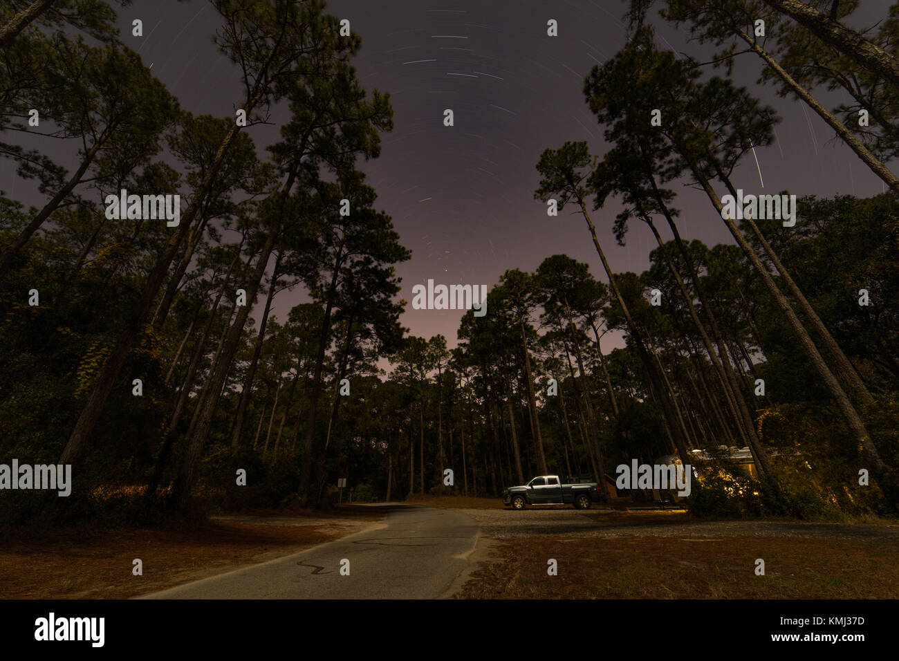 Carolina Beach State Park campeggio di notte con tracce stellari Foto Stock