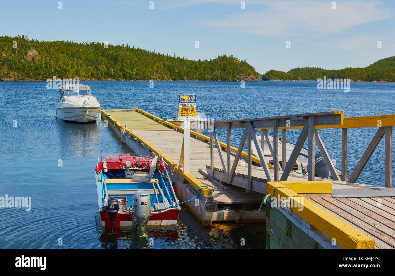 Pontile in legno, Robert braccio, Terranova, Canada Foto Stock