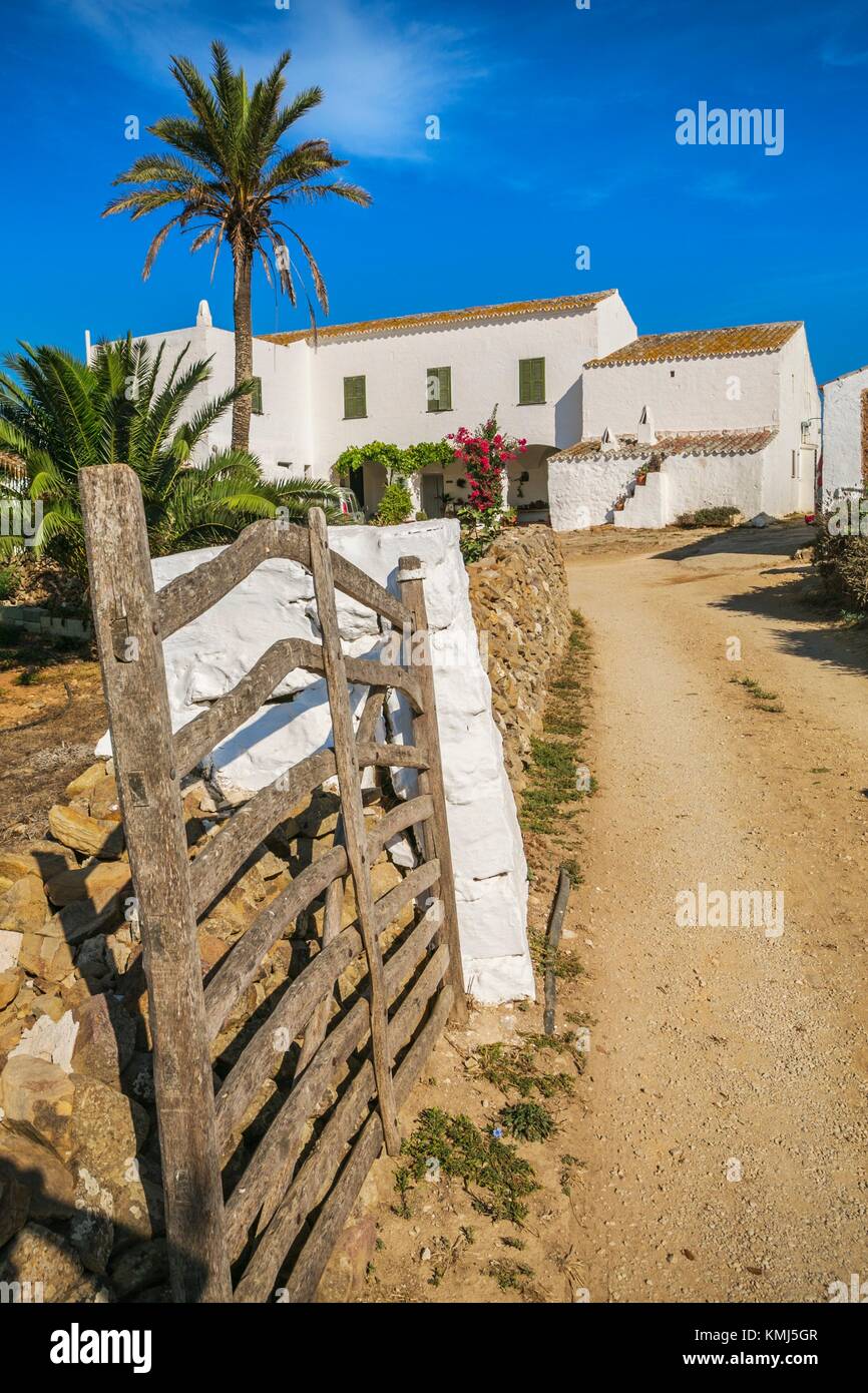 Formaggio artigianale casa del produttore. Proprietà Binicano. Ciutadella de Menorca comune. Isola di Minorca. Isole Baleari. Spagna Foto Stock