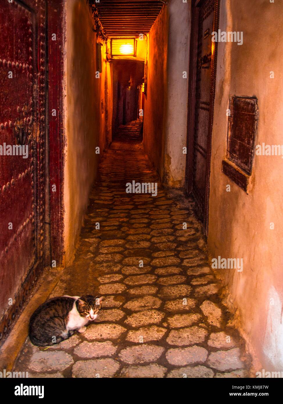 Il Marocco, Fes, uno dei hundredss piccoli vicoli ciechi in ''Medina'' (parte Vecchia) di Fes. Foto Stock