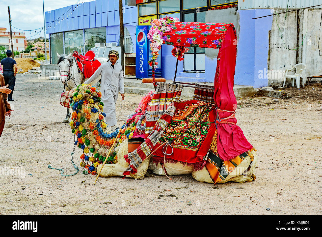 Pastore e cammelli per gite turistiche in Taif, Arabia Saudita. Foto Stock