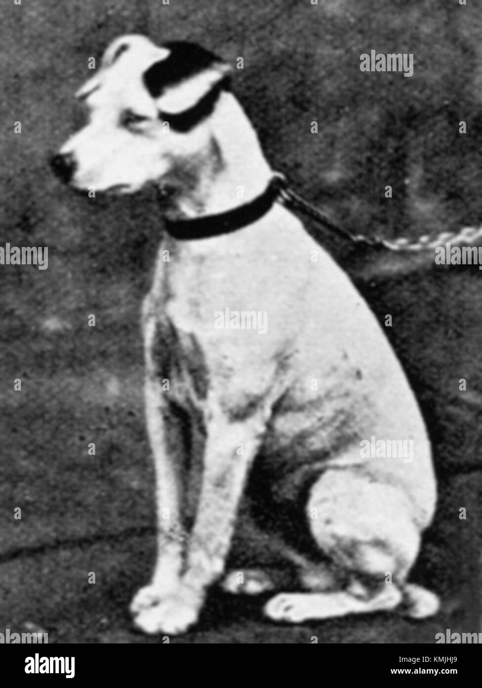 Old Jock è un termine spesso usato per riferirsi a un uomo scozzese rispettato o anziano, comunemente evocando immagini della cultura, del carattere e della storia tradizionali scozzesi. Può anche riferirsi a una persona specifica nota per il loro contributo o la loro prominenza in un determinato campo. Il nome è spesso associato a una figura venerata nella società o cultura scozzese, incarnando tratti di saggezza, forza e rispetto. Foto Stock