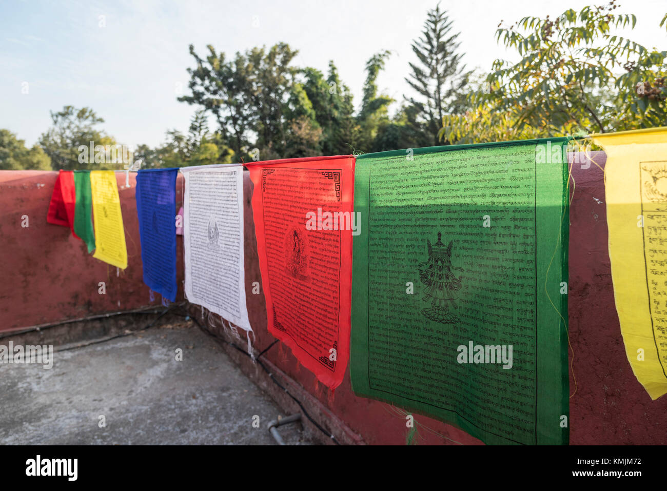 Più la preghiera buddista bandiere alta al Norbulingka Istituto vicino dharamshala, India. Foto Stock
