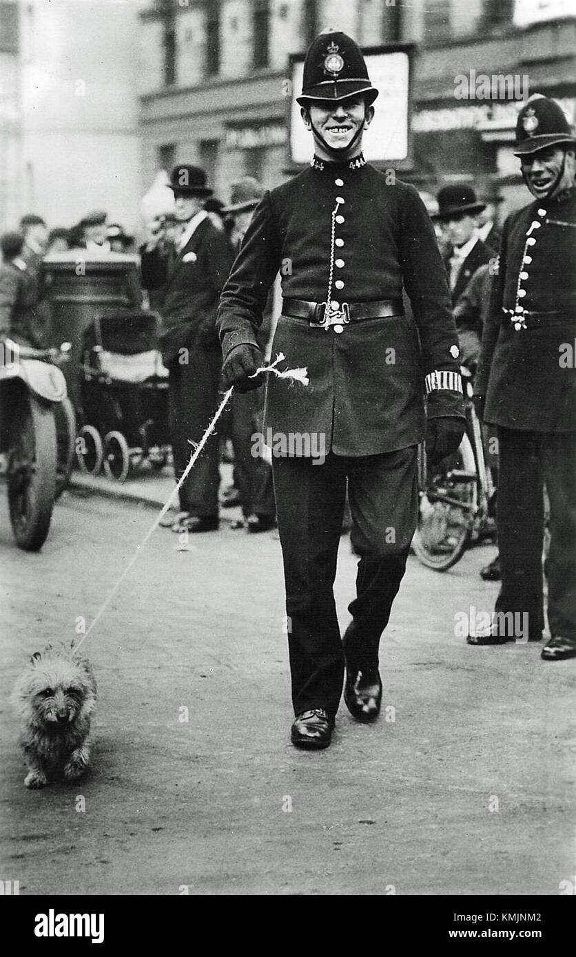 Questa immagine, intitolata "presa in custodia", raffigura un evento in cui un individuo viene arrestato dalle autorità. Cattura il momento dell'arresto o della detenzione, probabilmente durante un'azione di polizia. Foto Stock