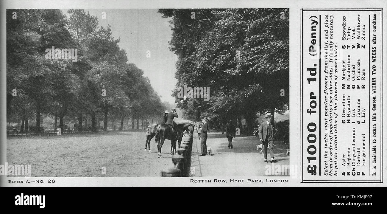 Una vista di Hyde Park, uno dei parchi più grandi e famosi di Londra, noto per i suoi vasti spazi aperti, il significato storico e il ruolo di parco pubblico centrale della città. Foto Stock