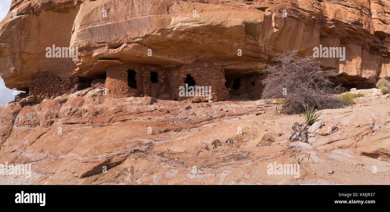 Immagine dell'hotel rock rovine, un sito anasazi sul texas piana, ad ovest del comb ridge e a nord della forcella del nord di mule canyon, la contea di San Juan, vicino Foto Stock