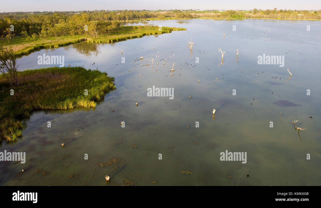 Basso livello immagine aerea di Kings Billibong vicino a Mildura, Victoria, Australia. La zona è un paradiso per gli uccelli, fornendo un quasi permanente di zona umida Foto Stock