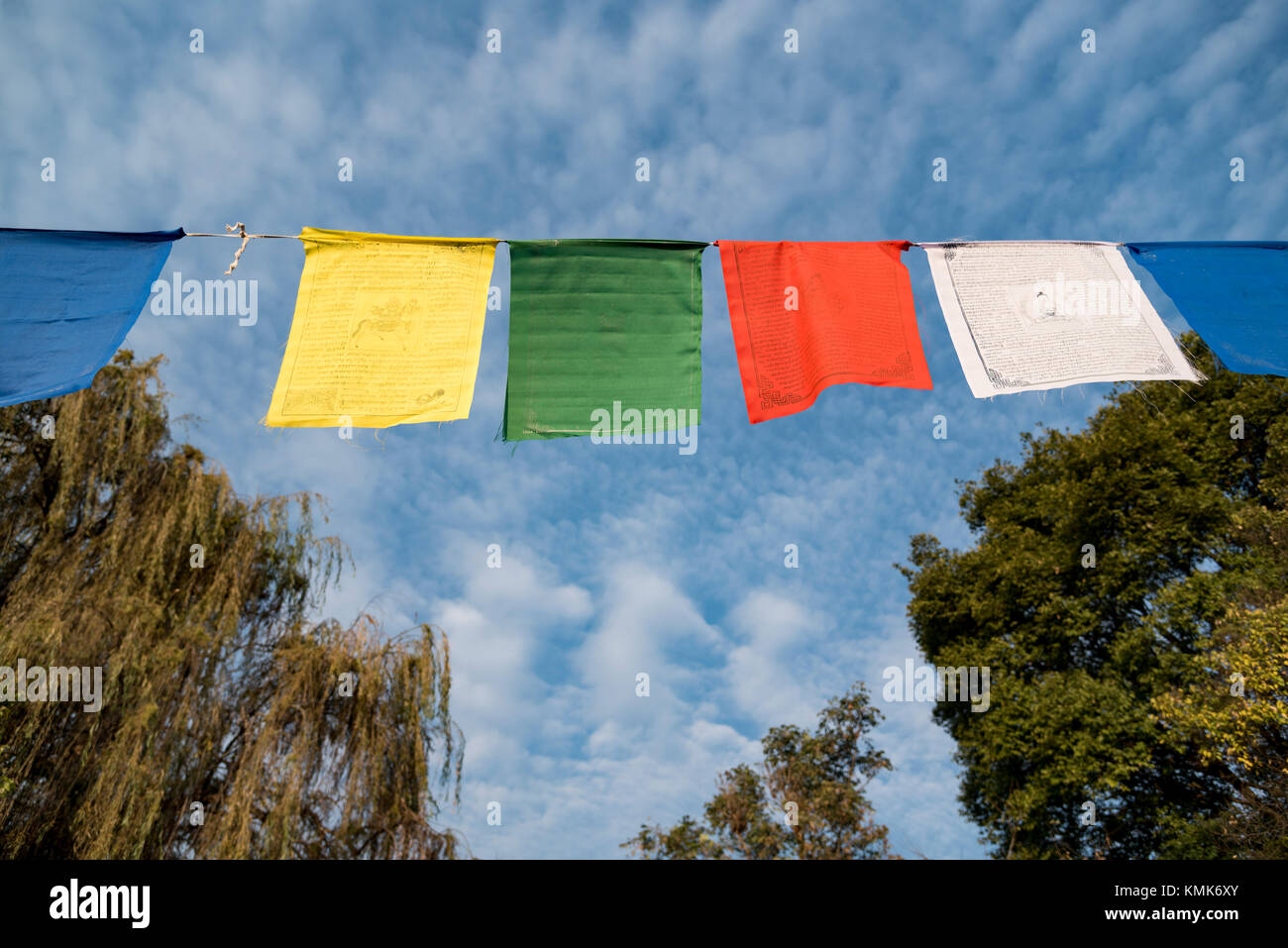 Più la preghiera buddista bandiere alta al Norbulingka Istituto vicino dharamshala, India. Foto Stock