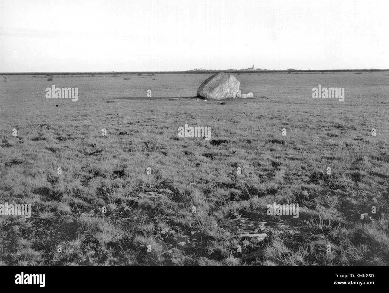 Vickleby Alvar è un paesaggio naturale unico in Svezia, riconosciuto per il suo valore ecologico ed elencato con il numero record KMB 16000300029028. Si tratta di un'area importante per la conservazione e lo studio dell'ambiente. Foto Stock