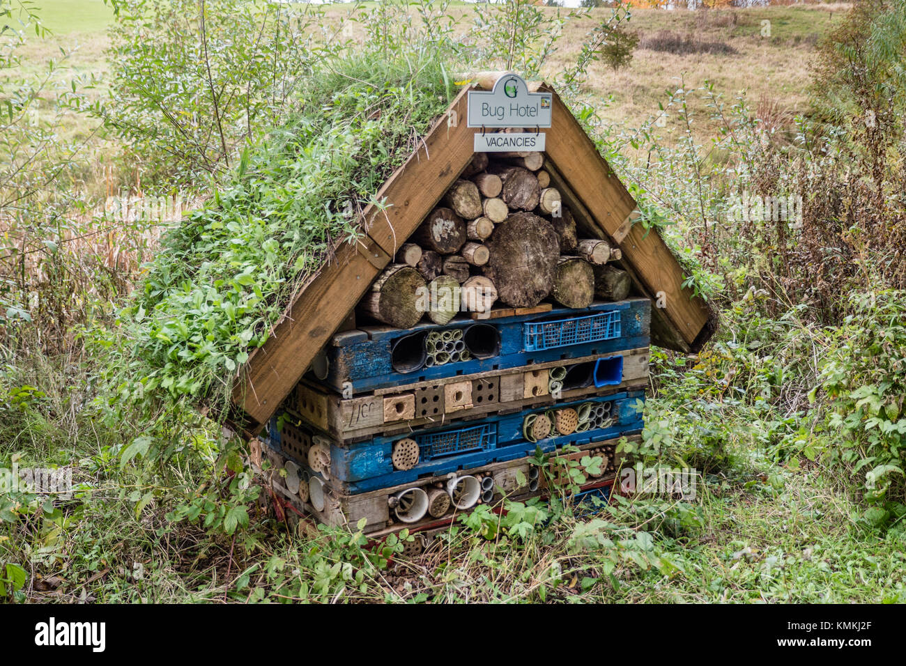 Bug e hotel di insetto Foto Stock