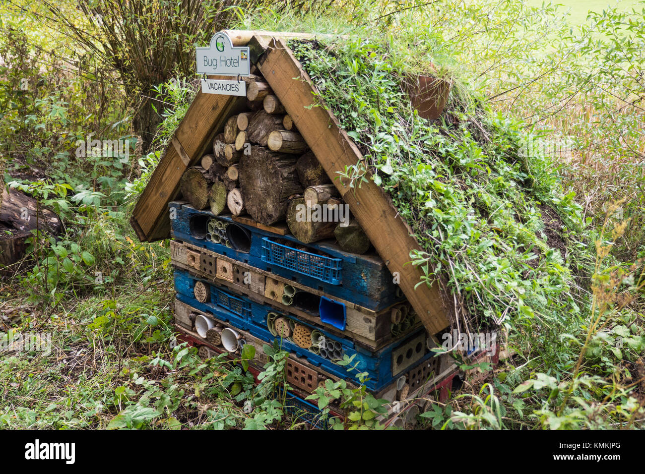 Bug e hotel di insetto Foto Stock