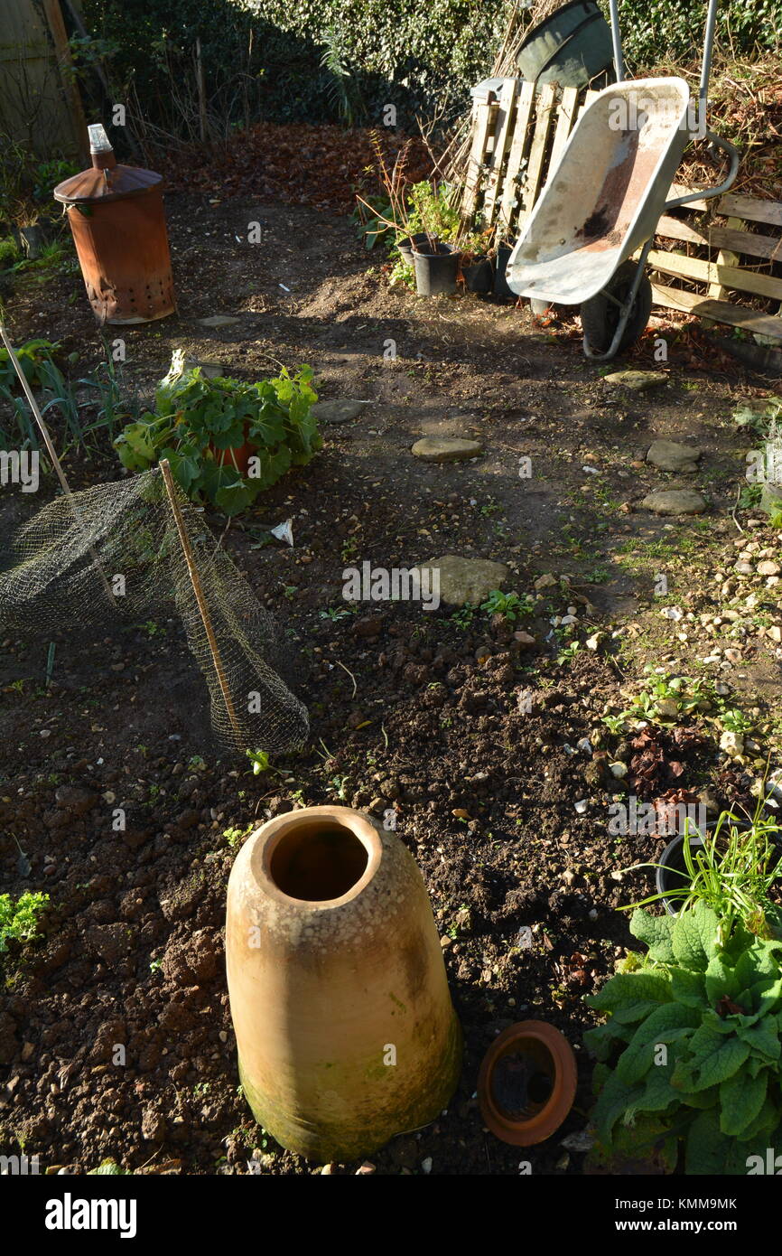 Giardino trama vegetale Foto Stock