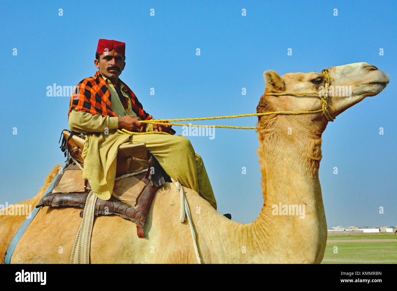 Camel pastore che gentilmente mi si consenta di cogliere la sua fotografia mentre i suoi cammelli erano al pascolo. Al Lith regione appena al di fuori della Mecca, Arabia Saudita. Foto Stock