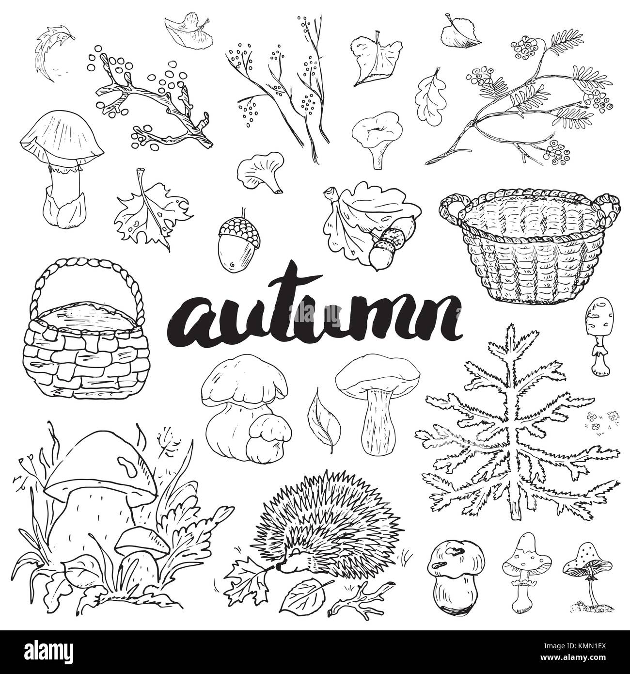 La stagione autunnale set. disegnati a mano scarabocchi e lettering illustrazione vettoriale Illustrazione Vettoriale
