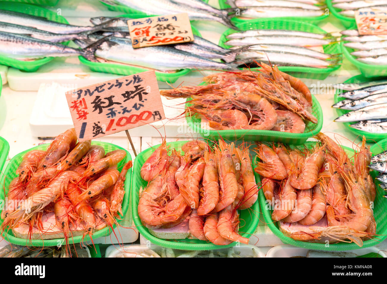 Freschi frutti di mare giapponese, argentino gamberi rossi (Amaebi / dolce di gamberi e pesce su verde cesto in plastica pronti a vendere al mercato del pesce Tsukiji in Tok Foto Stock