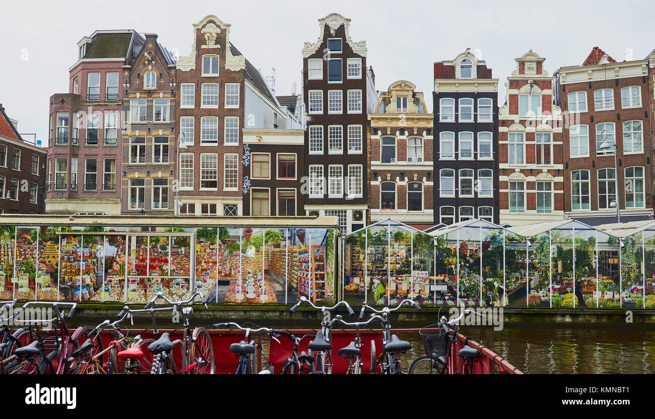 Bloemenmarkt (Mercato dei fiori di Amsterdam) fondata nel 1862 il mondo  solo il mercato dei fiori galleggiante, Singel, Amsterdam, Olanda Foto  stock - Alamy