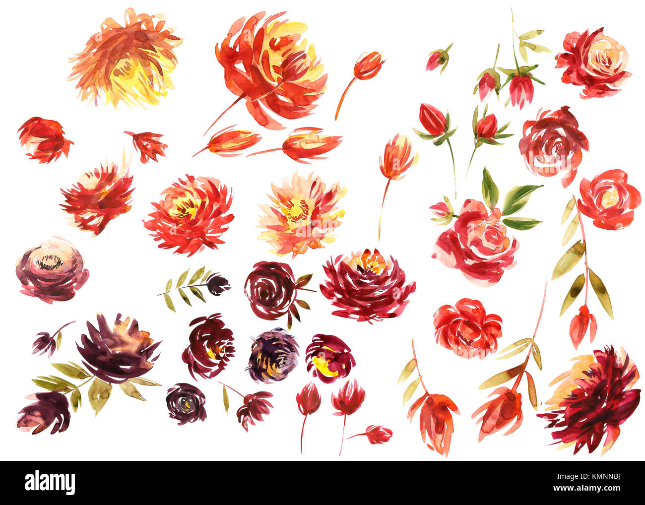 Acquerello Set Floreali Colorata Viola Collezione Floreale Con Foglie E Fiori Disegno Acquerello Colorata Collezione Floreale Con Fiori Set Di Elementi Floreali Per Le Tue Composizioni Foto Stock Alamy