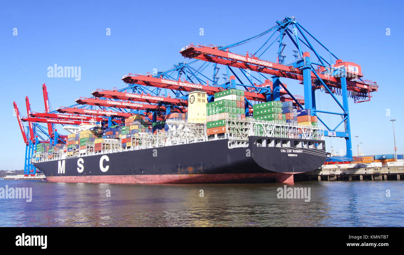 Amburgo, Germania - 8 marzo 2014: vista sul Burchardkai del porto di Amburgo. Contenitore da nave MSC è a carico e a vuoto durante un cielo blu chiaro giorno Foto Stock
