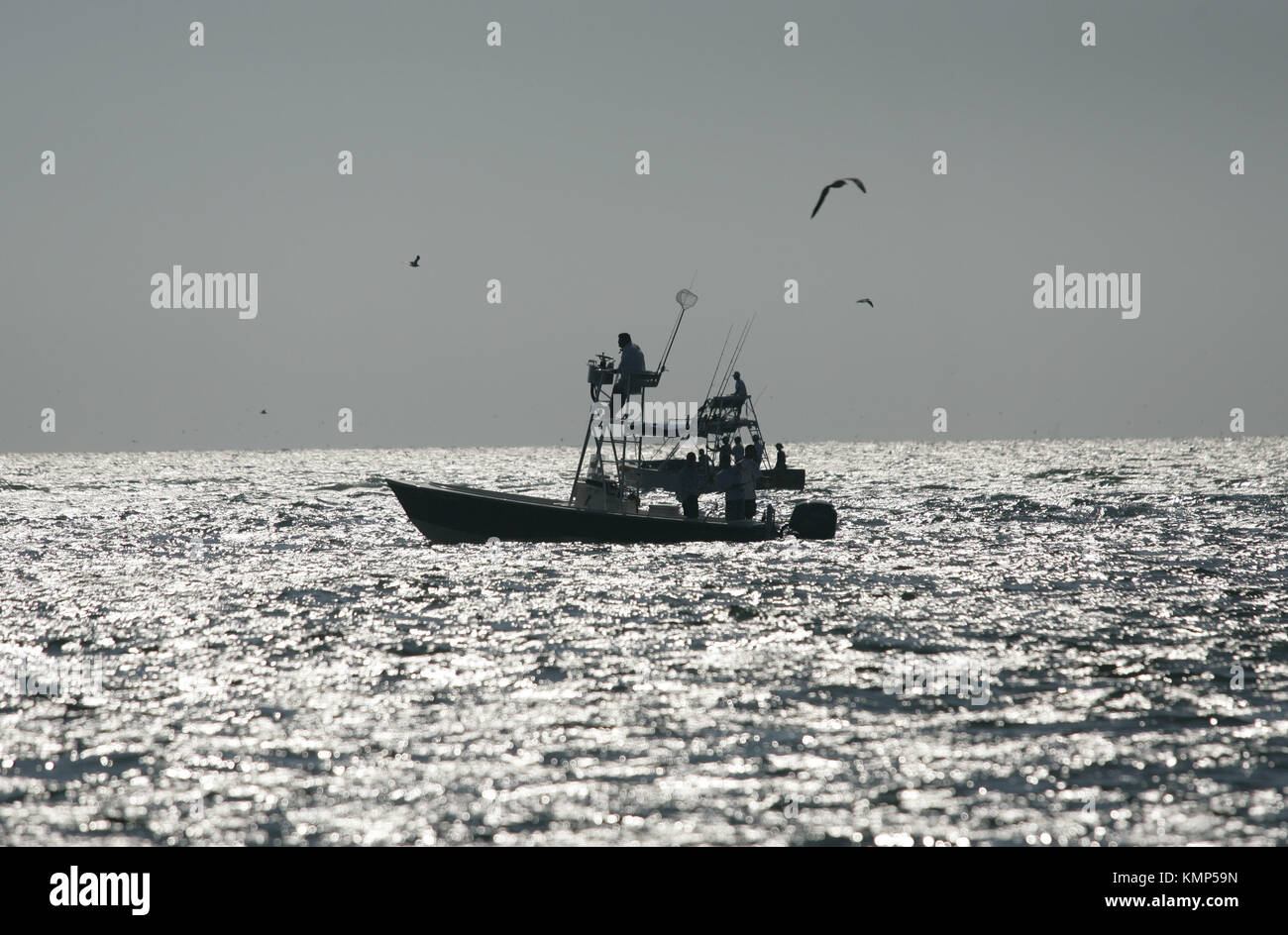 Giugno 14, 20097 - ST. PETERSBURG, FL, Stati Uniti Tarpon pesca al largo Egmont Key a Tampa Bay. Foto Stock