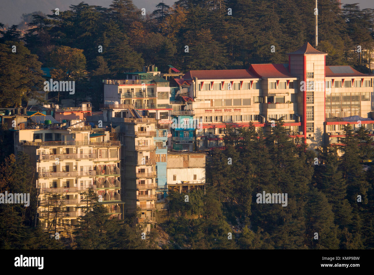 Vista di Mcleod Ganj nei monti sopra Dharamshala, India Foto Stock