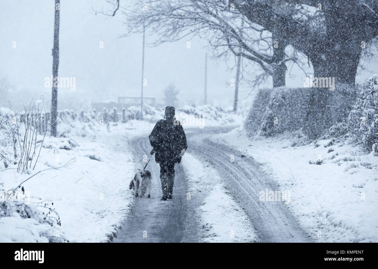 Shrewsbury, Shropshire. 8 Dicembre 2017. Tempo in Gran Bretagna: Camminatore di cane nella neve a Harmer Hill, Shrewsbury, Shropshire. Credit: John Eveson/Alamy Live News Foto Stock