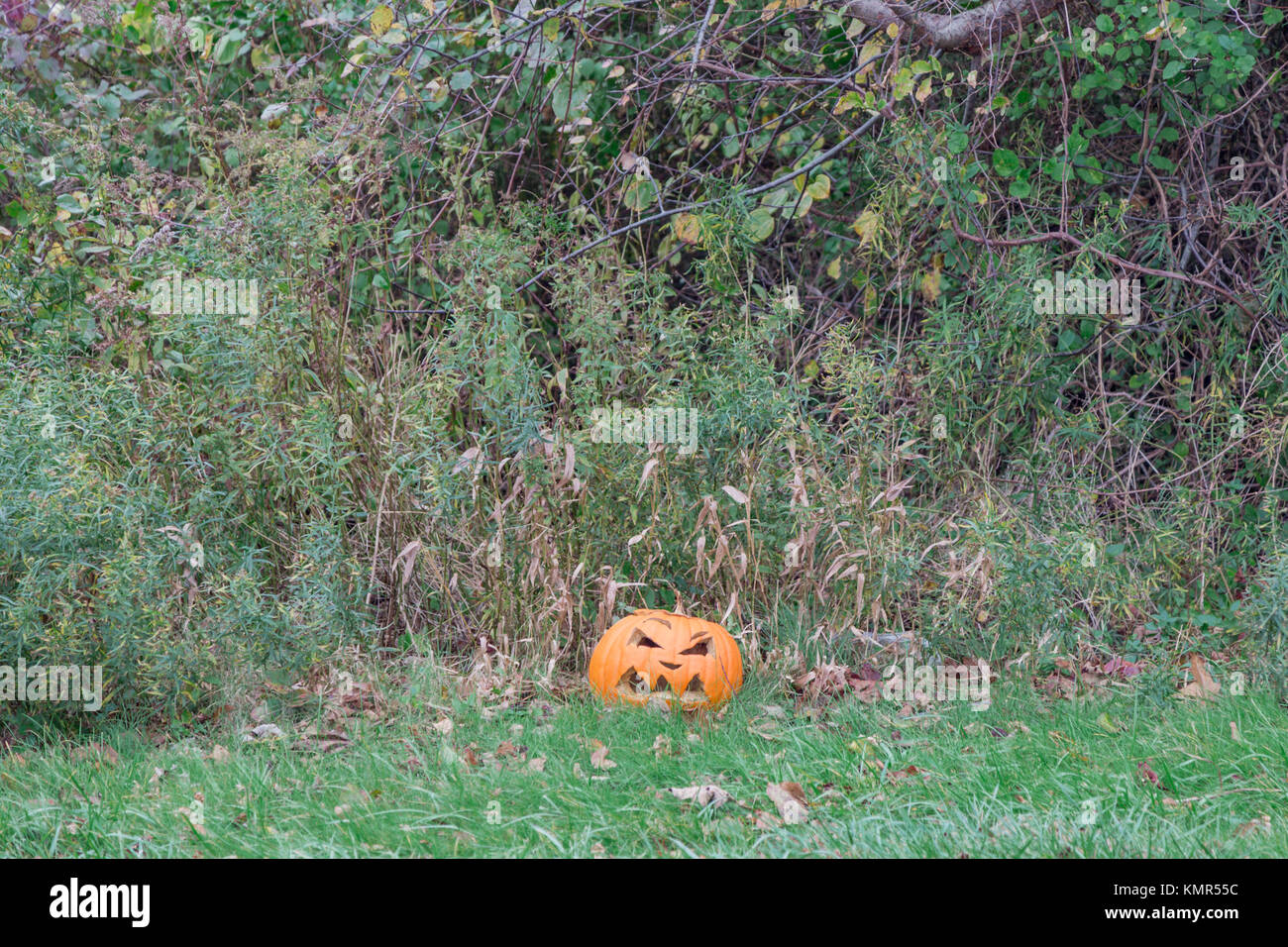 Scartata la zucca di Halloween la posa sul lato della strada a Montauk, NY Foto Stock