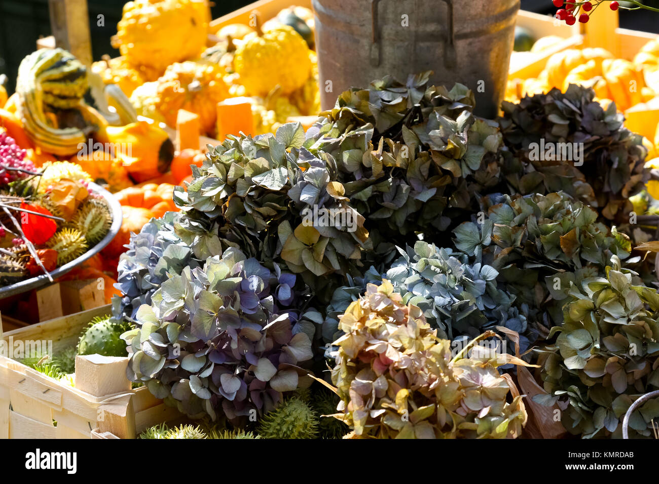 Fiori Secchi e altri frutti in autunno si ricorda il passaggio di stagione estiva con i loro colori. Foto Stock