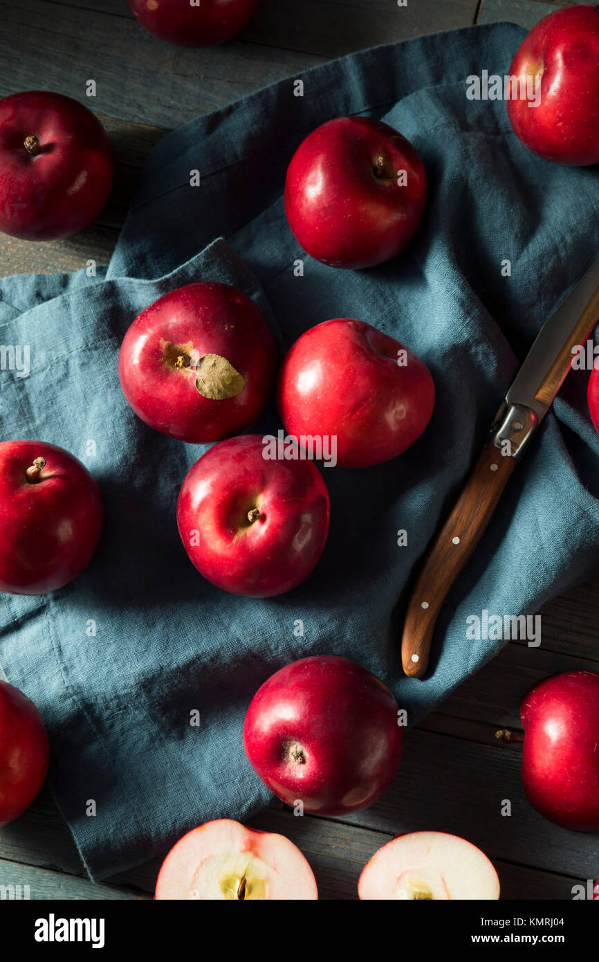 Organico rosso mele Macintosh pronto a mangiare Foto Stock