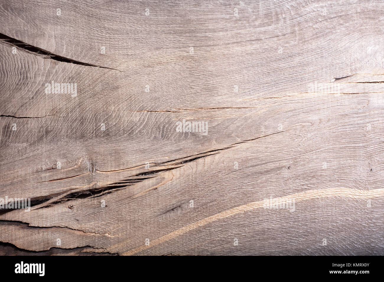 Il legno vecchio bog oak board spiovente con texture antigraffio vintage Foto Stock