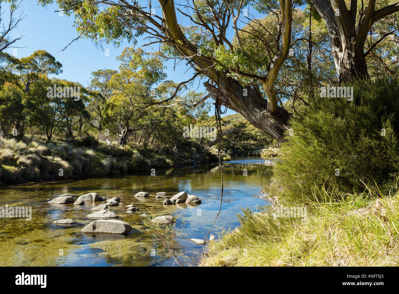 Il Thredbo River a Thredbo scavi in Kosciuszko Parco Nazionale delle montagne innevate nel sud del New South Wales. Foto Stock