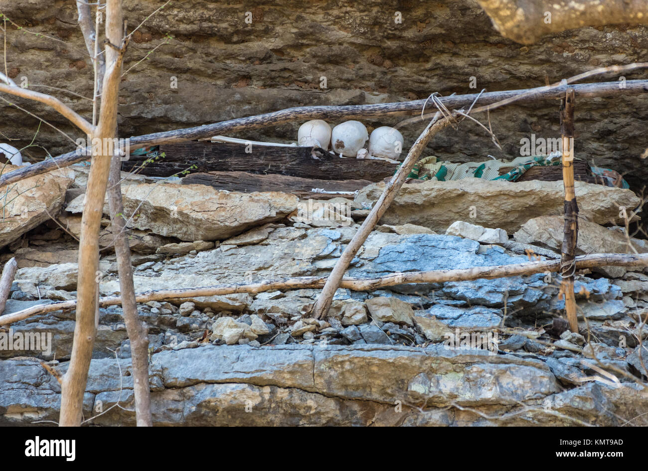 Tradizione malgascia, antenato teschi sono nel display sotto una roccia. Tsingy de Bemaraha National Park. Madagascar, Africa. Foto Stock